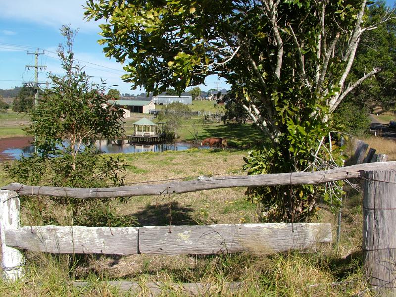 mt-george-august 015.jpg